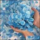 Baby Shower Heart Confetti 30g - OgaDiscount